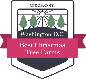 Almost Heavenly Named Among Best Washington, D.C. Christmas Tree Sellers